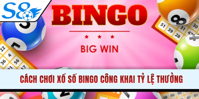 Cách chơi xổ số Bingo công khai tỷ lệ thưởng